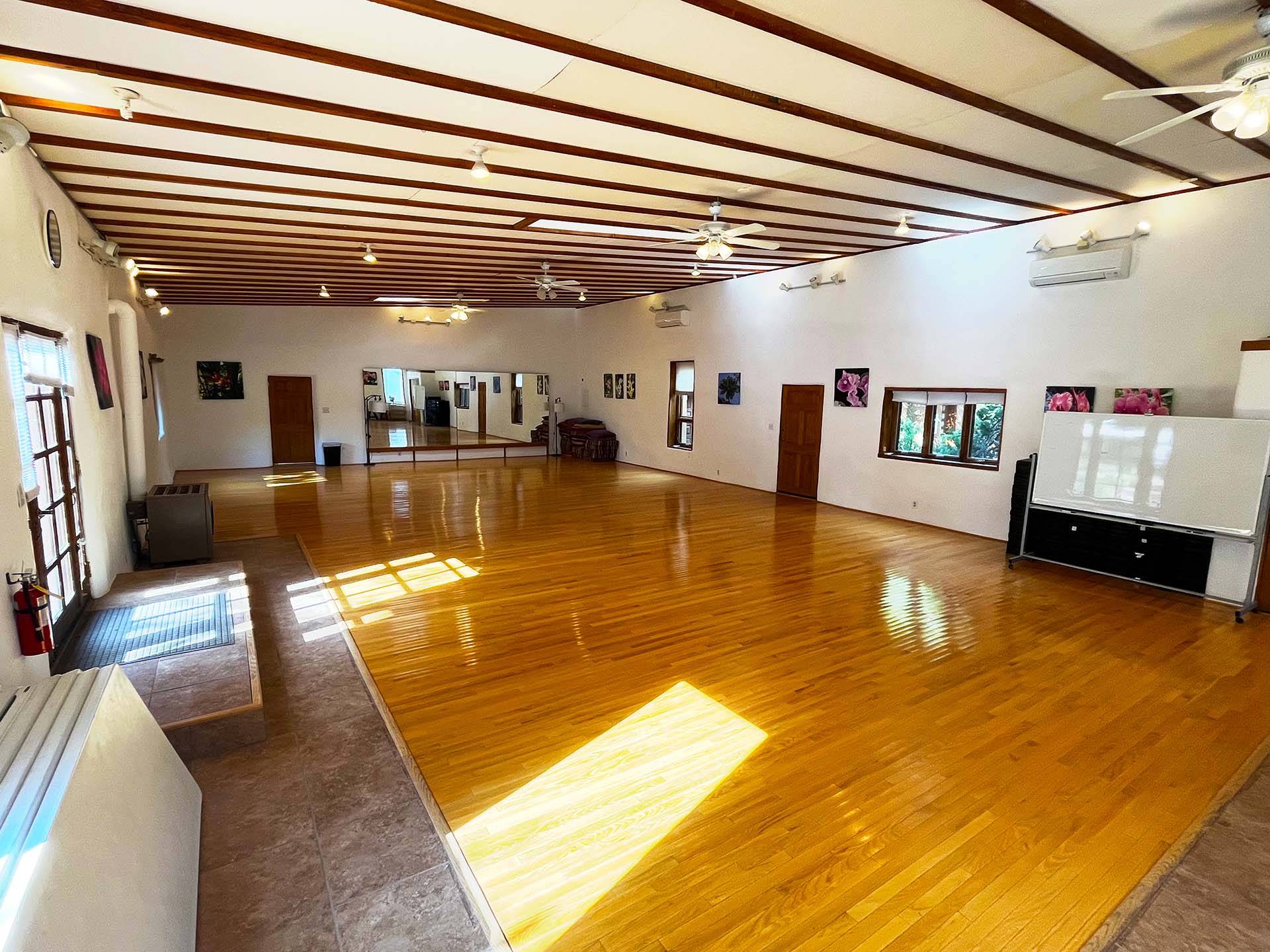 Dolphin dance studio