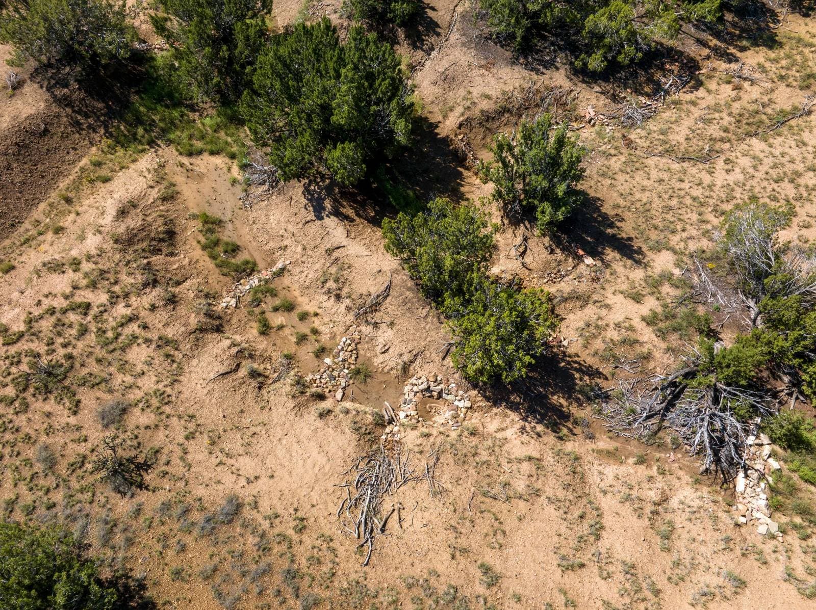 Restoration work in the arroyo at Synergia Ranch